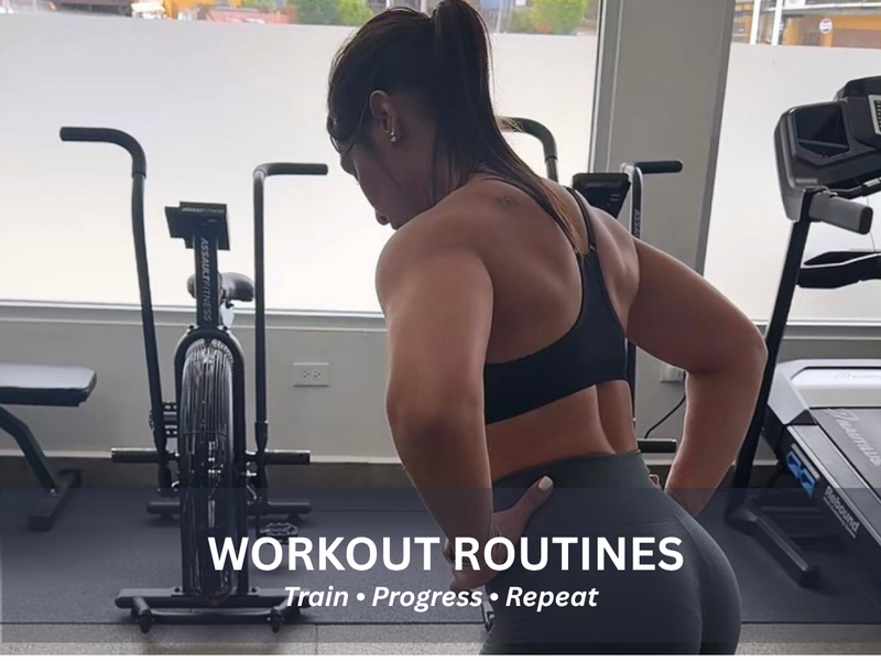Workout Routines